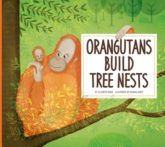 Orangutans Build Tree Nests Av Elizabeth Raum