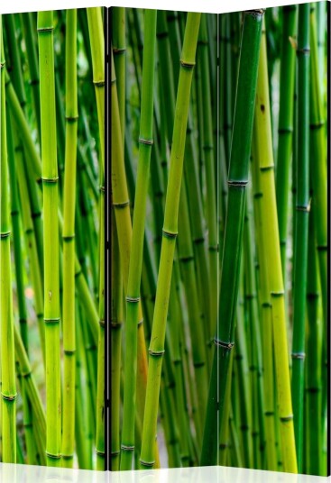 Romdeler Bamboo Forest 135x172 - Artgeist sp. z o. o.