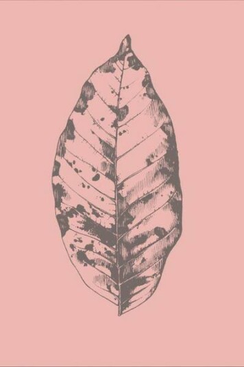 Malerifabrikken Poster Botanica 1 1588986-01-136