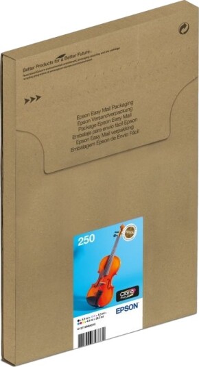 Epson 250 multipack blekkpatron original 6 pk C13T16N84510