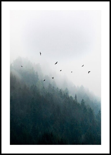 Foggy Morning 4 Plakat Plakat / 100x150cm Foggy Morning 4 Plakat Plakat / 100x150cm