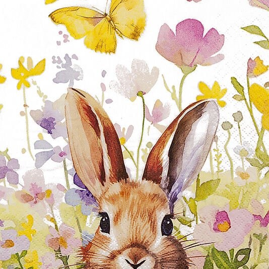 Daybyday servietter 33x33cm bunny in meadow