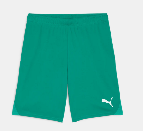 Puma Teamgoal Shorts - 05 Sport Green-Puma White L
