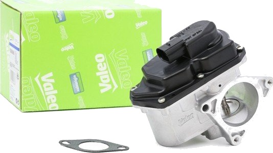 EGR Ventil VALEO 700424