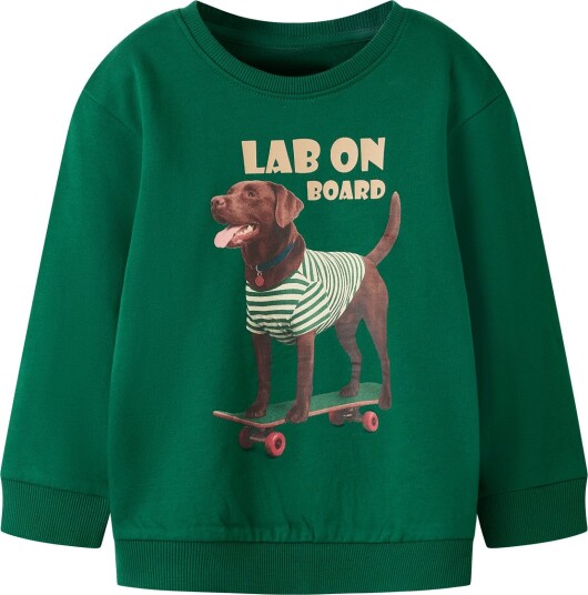 Name It Nmmvoto Ls Nreg Sweat Bru EVERGREEN 122 128 Name It Nmmvoto Ls Nreg Sweat Bru EVERGREEN 122 128