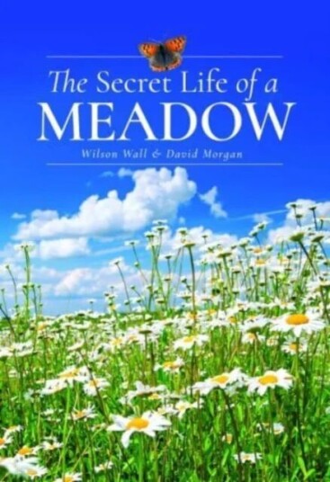 The Secret Life Of A Meadow Av Wilson Wall, David Morgan