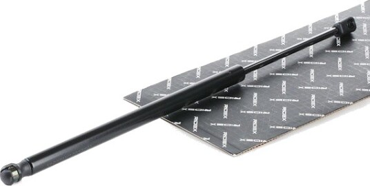 RIDEX 219G0665 Baklukedemper