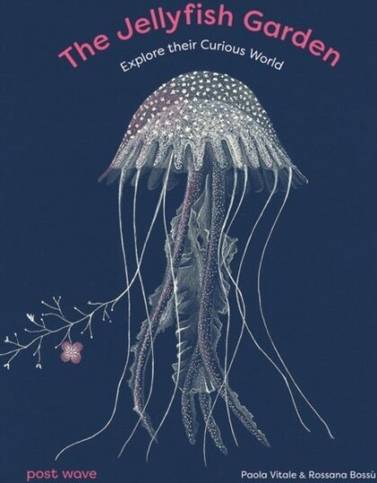 The Jellyfish Garden The Jellyfish Garden