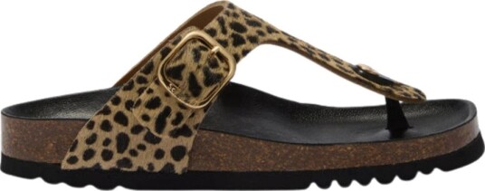 Scholl Dame Sko Brun 40 EU,