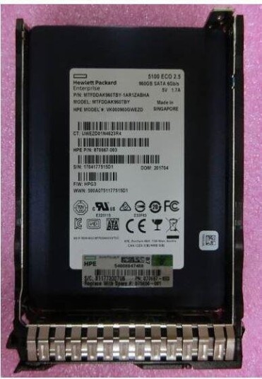 960 GB SATA 6G SFF RI DS SSD