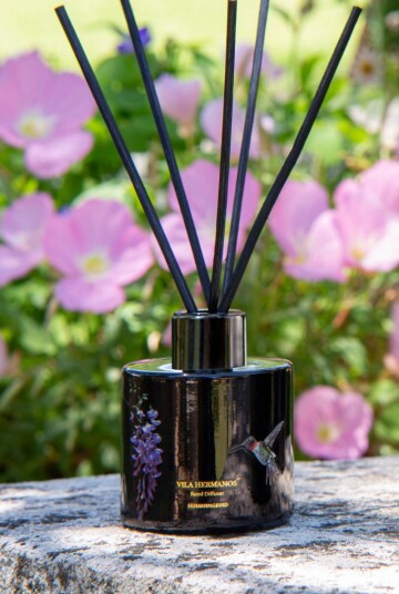 Vila Hermanos Jungle Colibri-Hummingbird Diffuser 100ml Vila Hermanos Jungle Colibri-Hummingbird Diffuser 100ml