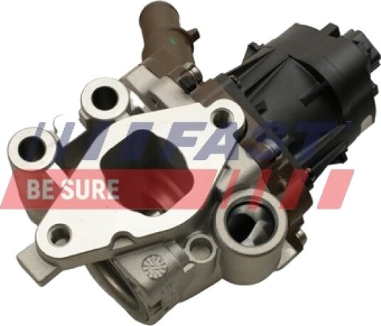 EGR Ventil FAST FT60248