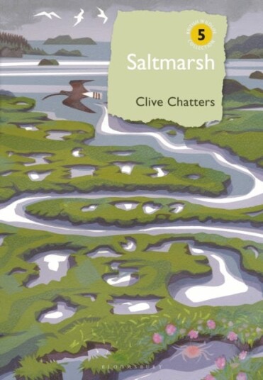 Saltmarsh Av Clive Chatters