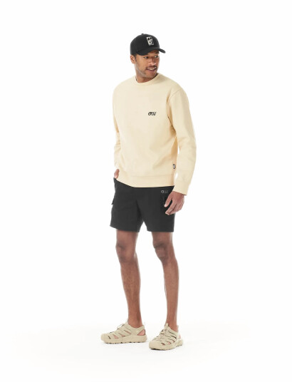 PICTURE ORGANIC CLOTHING Alpho Shorts Black 34