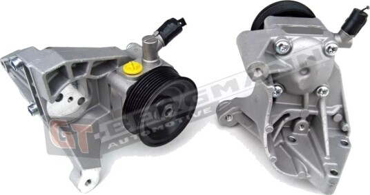 Servopumpe GT-BERGMANN GT32-001 Servopumpe GT-BERGMANN GT32-001
