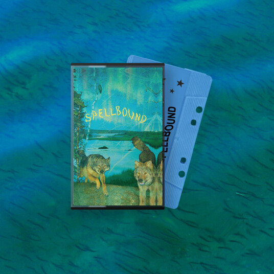 Boyscott Spellbound Kassett