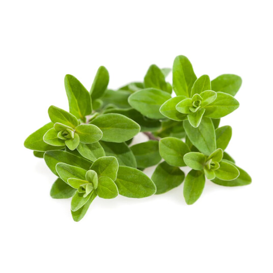 Click and Grow Smart Garden Refill 3-pack Marjoram Click and Grow Smart Garden Refill 3-pack Marjoram