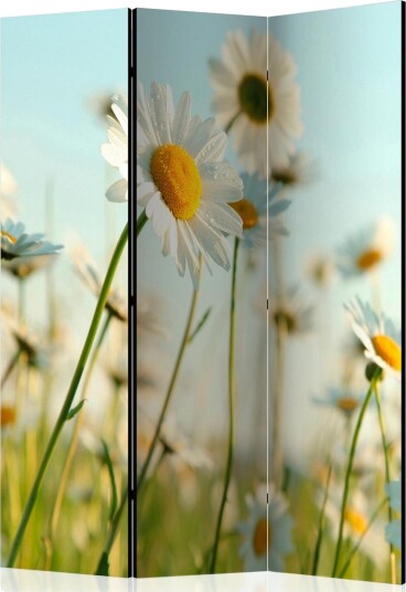 Romdeler Daisies - Spring Meadow - Artgeist sp. z o. o.
