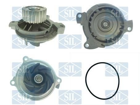 Saleri SIL PA1002A Vannpumpe Saleri SIL PA1002A Vannpumpe