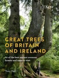 Great Trees Of Britain And Ireland Av Tony Hall Great Trees Of Britain And Ireland Av Tony Hall