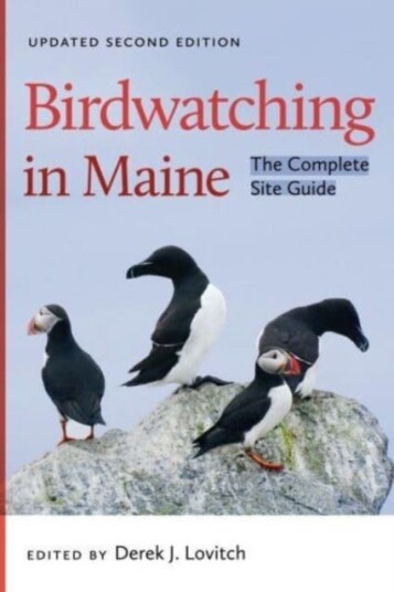 Birdwatching in Maine The Complete Site Guide