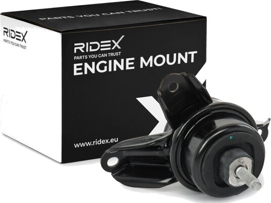 RIDEX 247E1055 Motorfeste