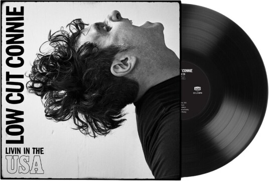 Livin In The Usa Vinyl Livin In The Usa Vinyl