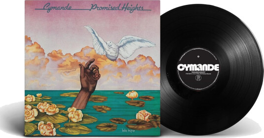 Promised Heights Promised Heights