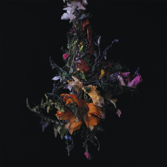 Big Brave Nature Morte LP/Vinyl Big Brave Nature Morte LP/Vinyl