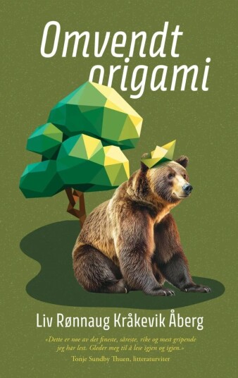 Omvendt Origami Av Liv Rønnaug Kråkevik Åberg