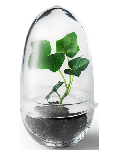 Design House Grow Greenhouse Stockholm CLEAR H14CM