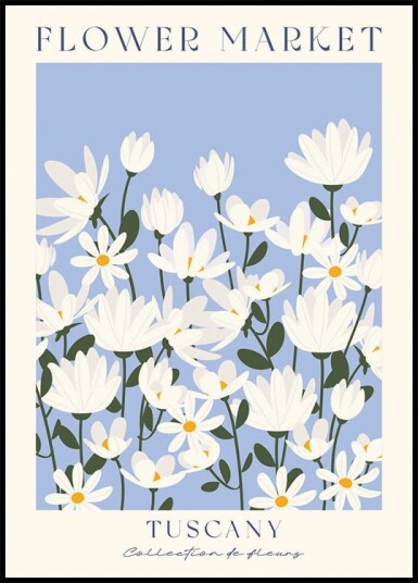 Flower Market Tuscany daisy field Plakat Plakat / 21x30cm
