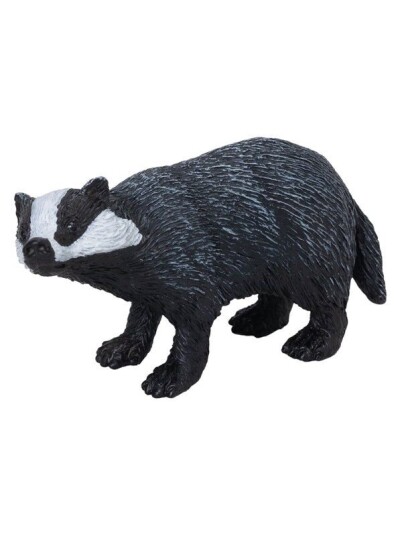 Mojo   Wildlife Badger