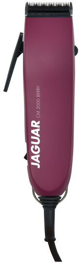 JAGUAR CM 2000 Berry JAGUAR CM 2000 Berry