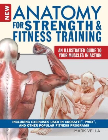 Anatomy For Strength And Fitness Training Av Mark Vella