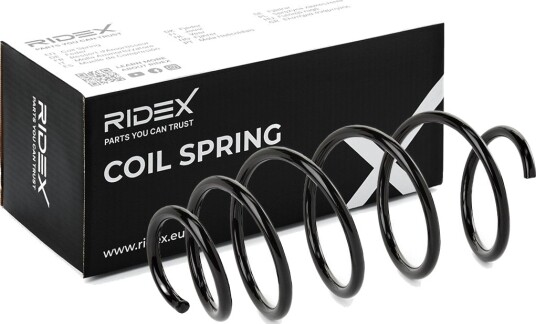 RIDEX 188C1513 Fjær