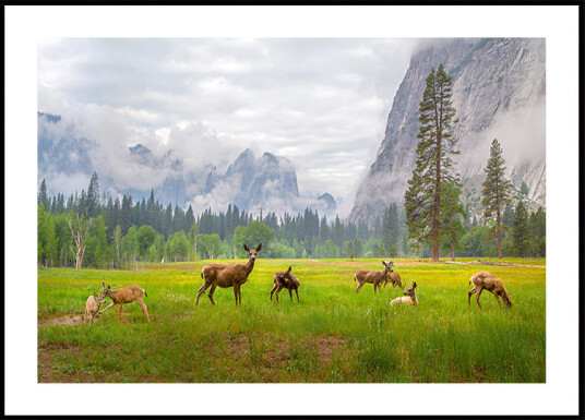 A Feeling of Ancient Time Plakat Plakat / 100x150cm A Feeling of Ancient Time Plakat Plakat / 100x150cm