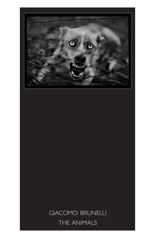 The Animals Av Giacomo Brunelli The Animals Av Giacomo Brunelli