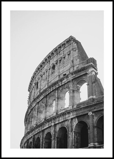 The Colosseum Plakat Plakat / 70x100cm