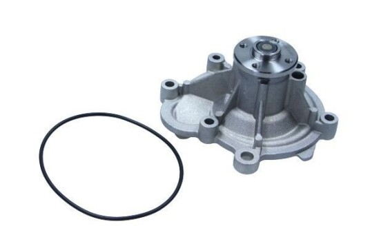 MAXGEAR 47-0289 Vannpumpe