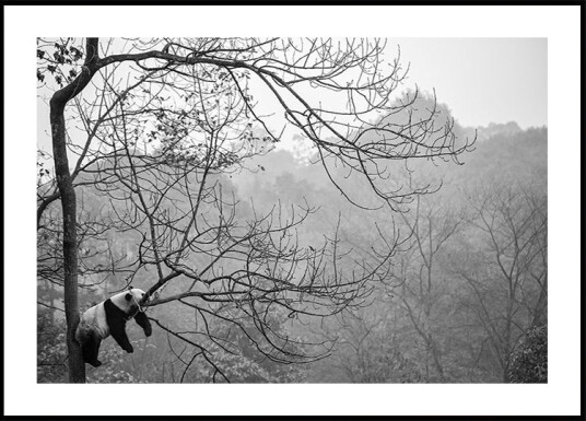 Relax Poster Plakat / 40x50cm Relax Poster Plakat / 40x50cm