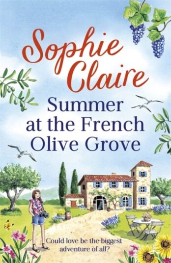 Summer At The French Olive Grove Av Sophie Claire