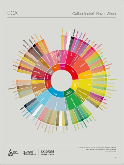 The Coffee Taster's Flavor Wheel Poster -SCA