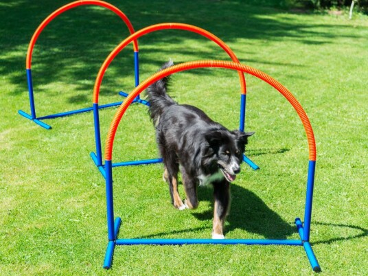 Agility Hooper 1Stk