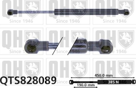 QUINTON HAZELL QTS828089 Baklukedemper