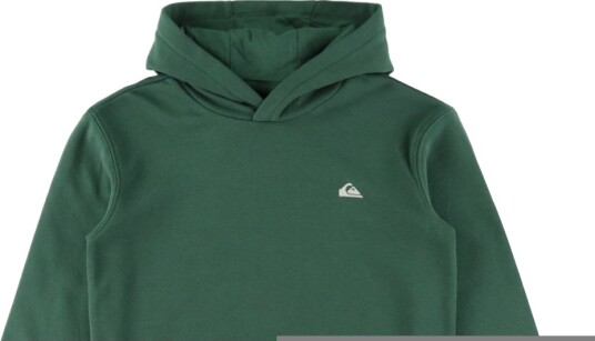 Quiksilver Hettegenser Basic Forest Quiksilver 16 år (176) Hettegenser Armygrønn Grønn
