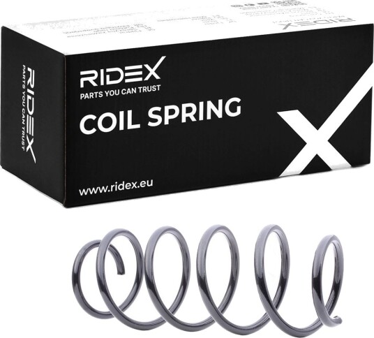 RIDEX 188C0193 Fjær