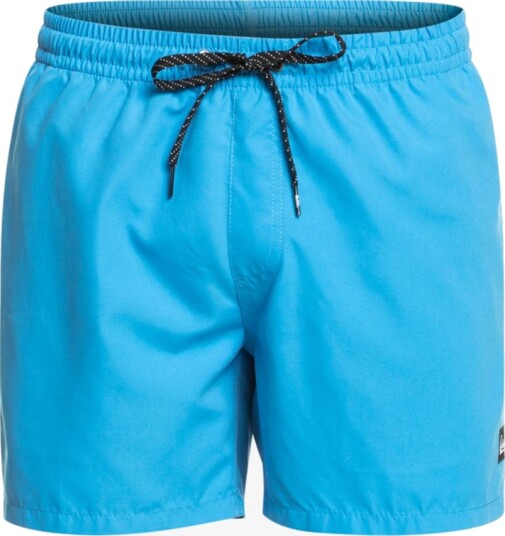 Quiksilver Everyday 15" Swim Shorts for Men Blue L