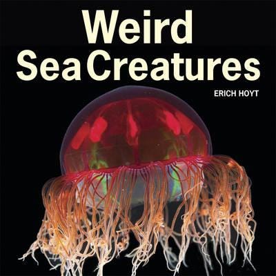 Weird Sea Creatures Av Erich Hoyt
