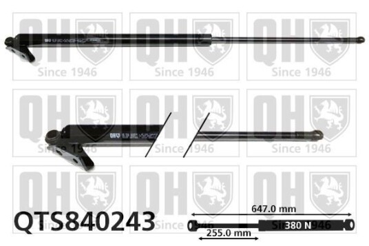Baklukedemper QUINTON HAZELL QTS840243